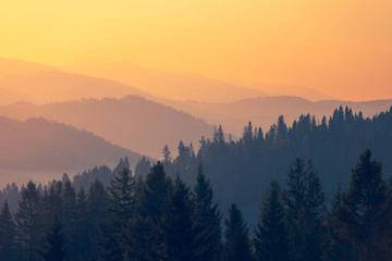 全友家居样品都几折卖