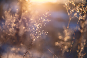 南瓜和虾可以一起吃吗 南瓜和虾一起吃会怎样